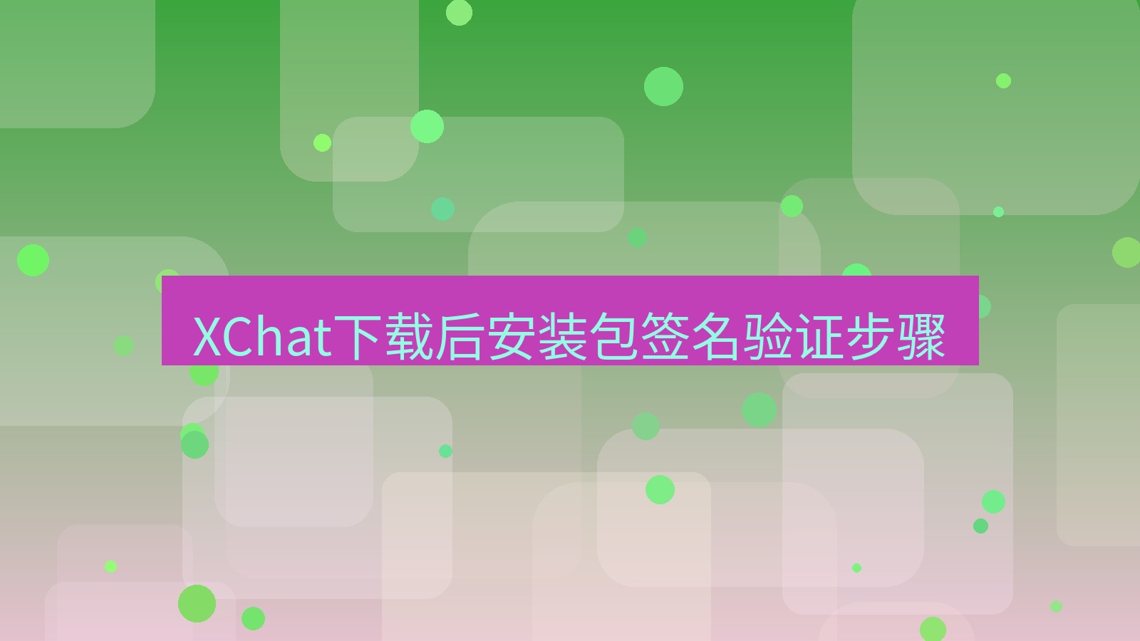 xchat电脑版 XChat下载后安装包签名验证步骤